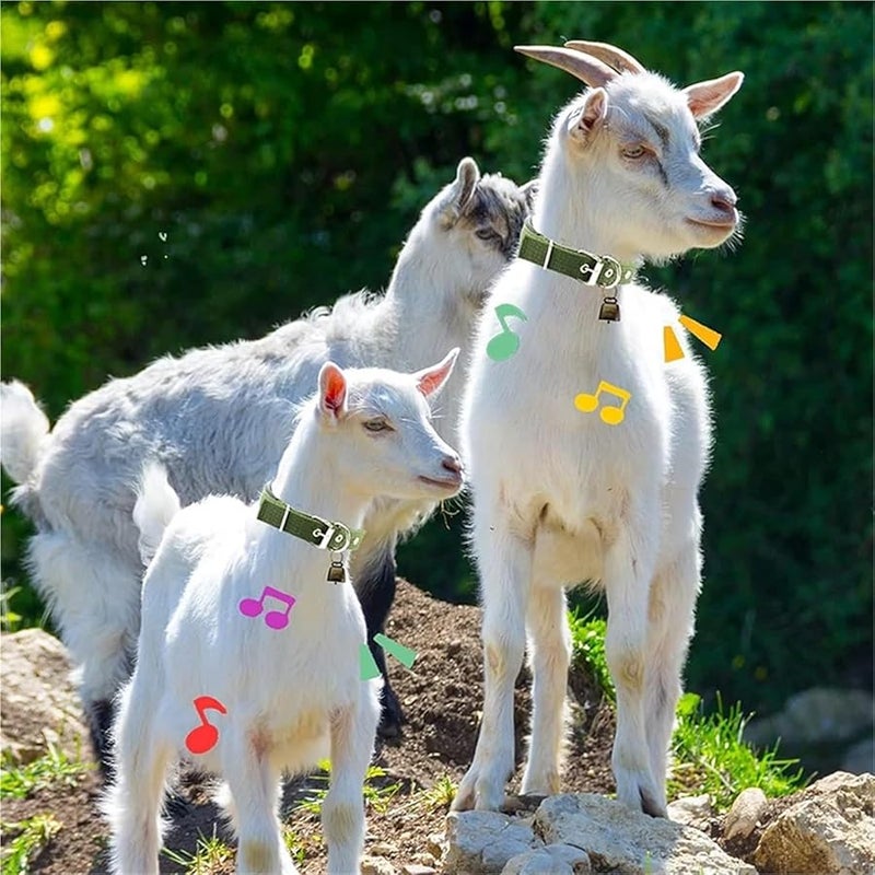 طوق الماعز مع جرس قابل للتعديل مجموعة نايلون للأغنام والأبقار والحيوانات الأليفة 37-44 سم - Image 4